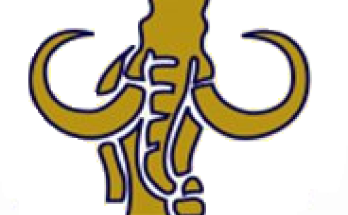 Danna Zoe Nava Ledezma Mamuts111 Prov VNE México