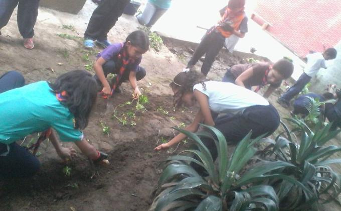 UNA MANO VERDE AL LICEO MARTIN J. SANABRIA