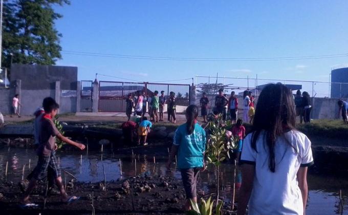 Mangrove Planting