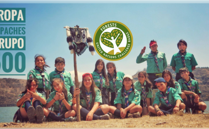 Reto de la Insignia de los Bosques - YUNGA - Tropa Mapaches grupo 500