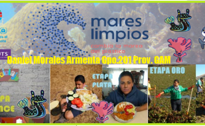 MARES LIMPIOS - DANIEL MORALES ARMENTA GRUPO 201 G.A.M - MÉXICO