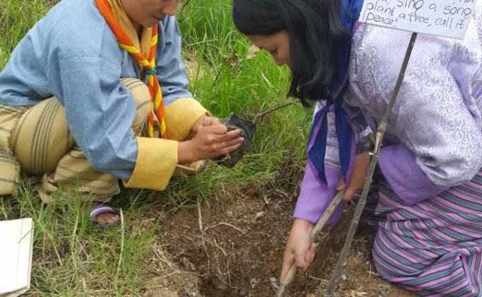 Peace Message and Peace tree plantation