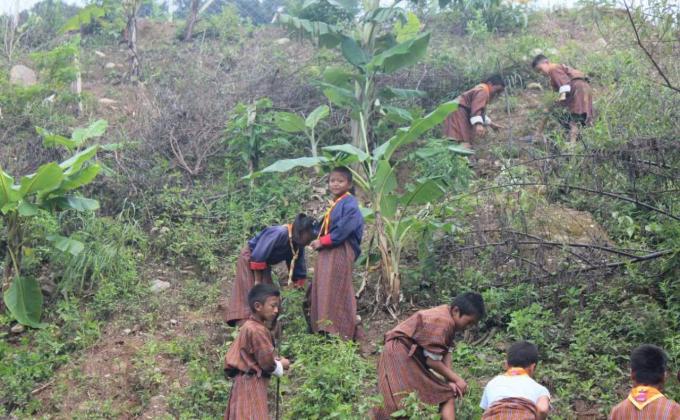 Tree Plantation for peace  