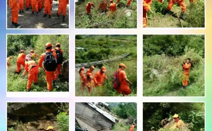 uprooting of marijuana