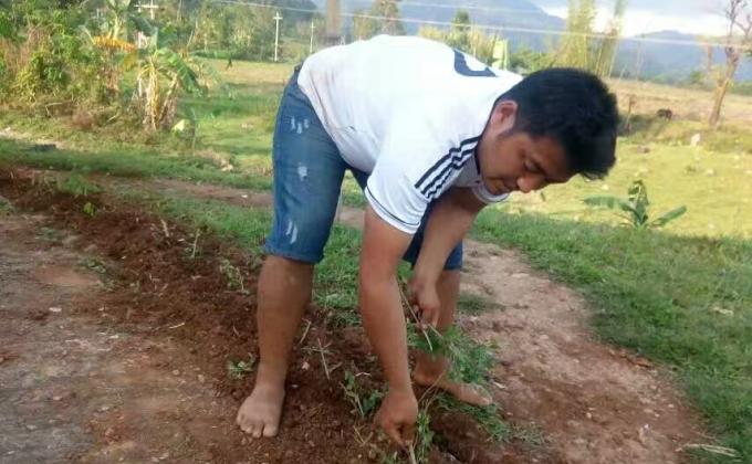 Greening the white stupa