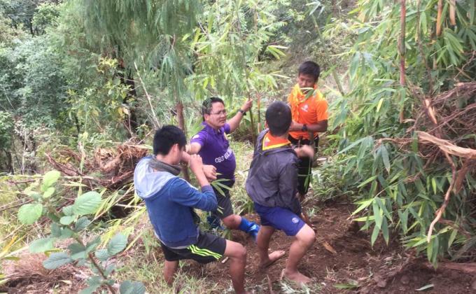 Nurturing nature through plantation