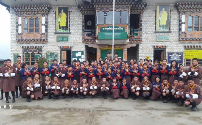 Tree plantation