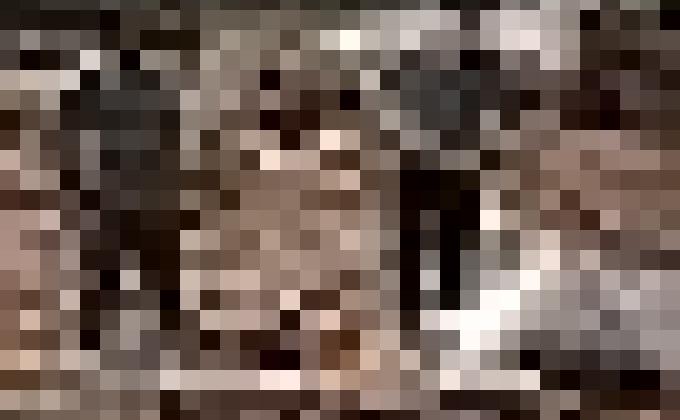 Social services to Dratshang (Monastery)