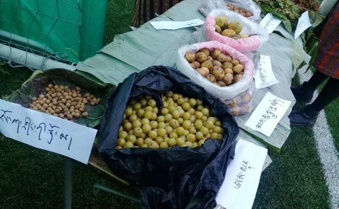 Discovery of natural edible in locality 