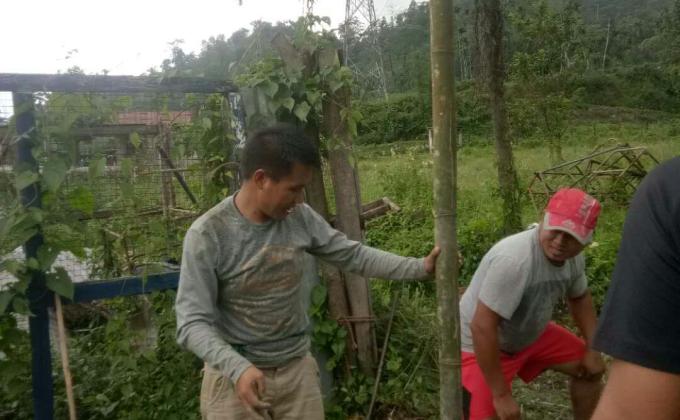 Green house construction