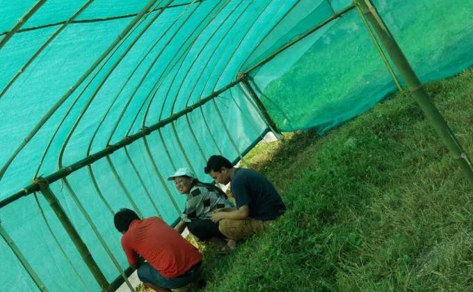 First CBS project in making green house  for the year 2019