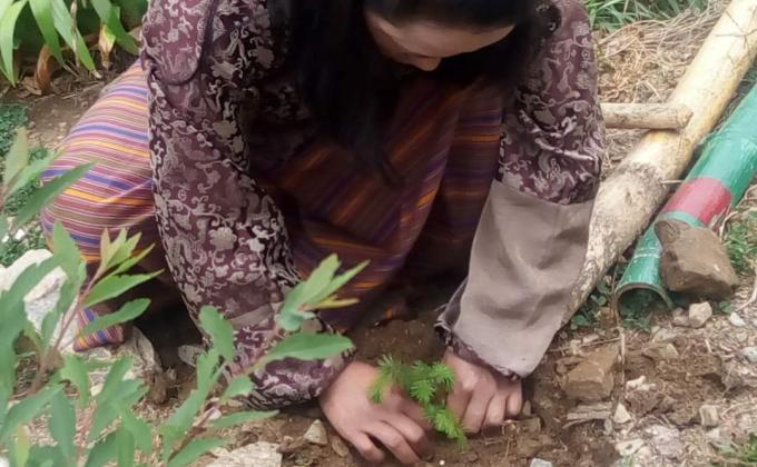 Social Forestry Day Celebration