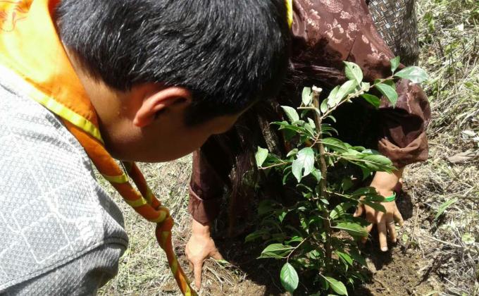 June 2nd Tree Plantation.