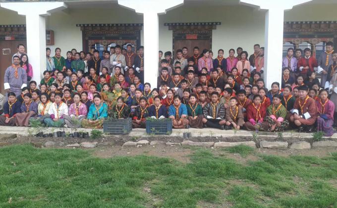 2nd June plantation