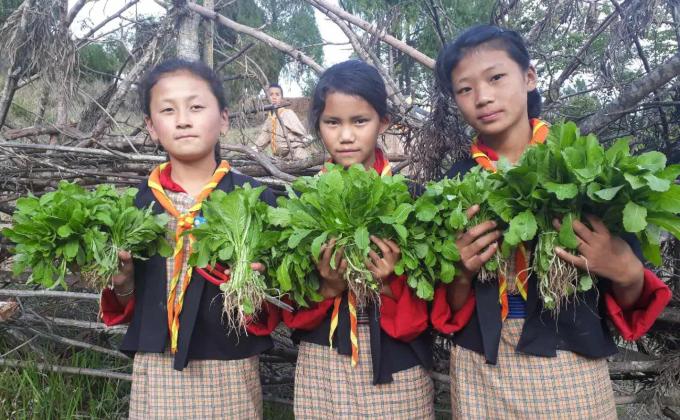 Promotion of organic vegetables.