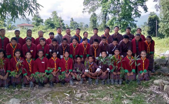 Go Green by planting trees