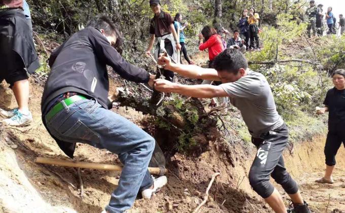 Clearing new footpath