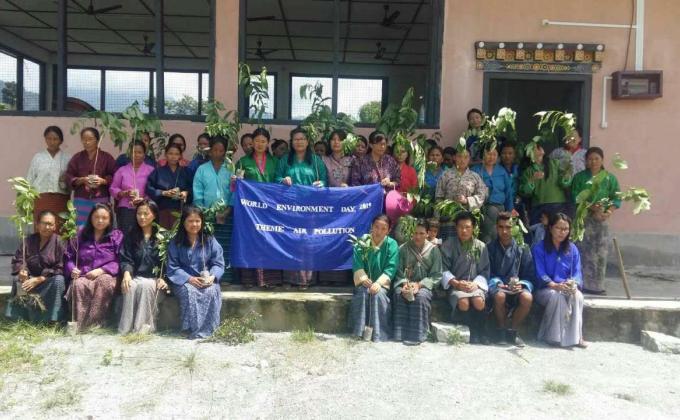 Tree Plantation