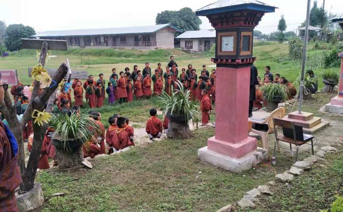 Planting trees to reduce the climate change