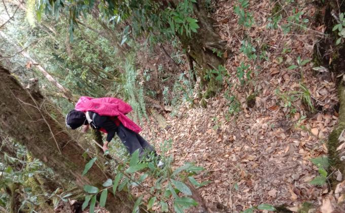 A day trip (survival to the fitness)