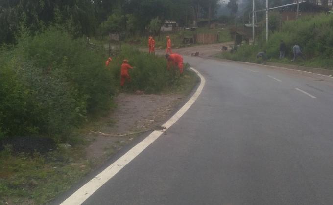Uprooting of Marijuana plants