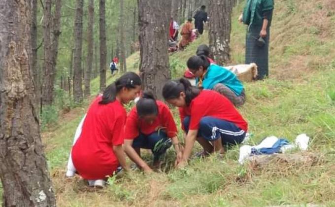 Celebrating Social forestry day