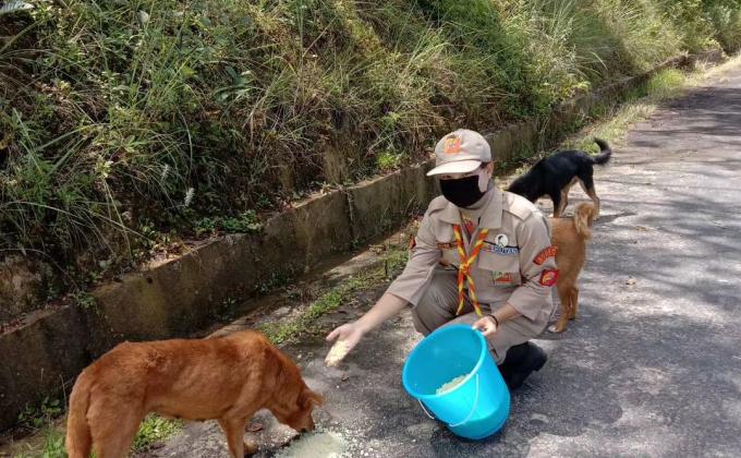 Dog feeding volunteer
