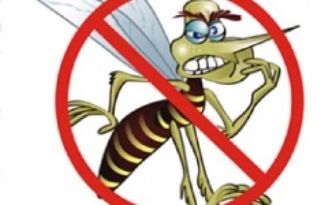 Escoteiros Contra a Dengue