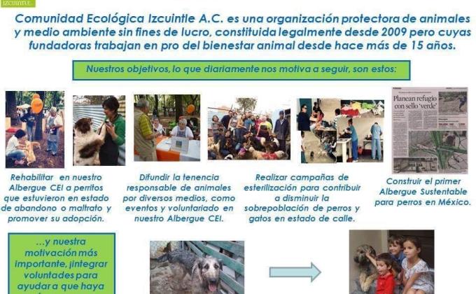 CONSTRUCCIÓN ECOLÓGICA PARA PERROS 