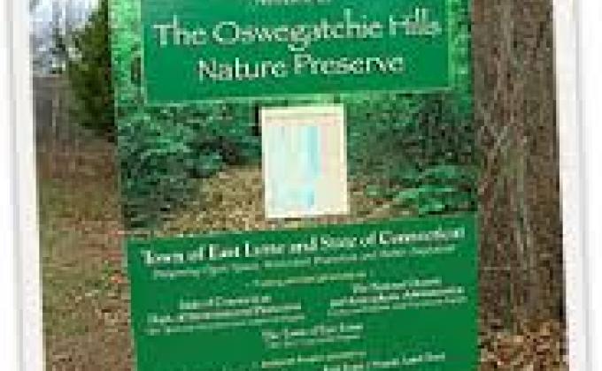 Liter clean up in the Oswegatchie Hills, East Lyme, CT. USA