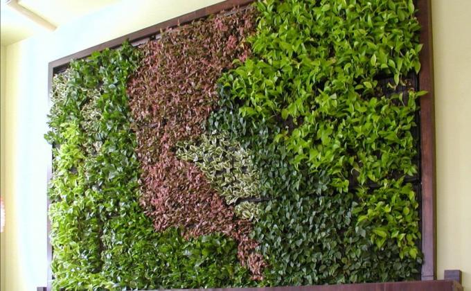 Pared verde