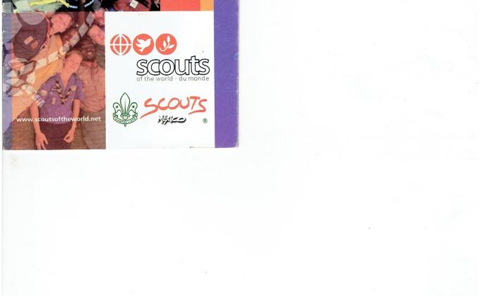 Voluntariado Scouts Del Mundo .