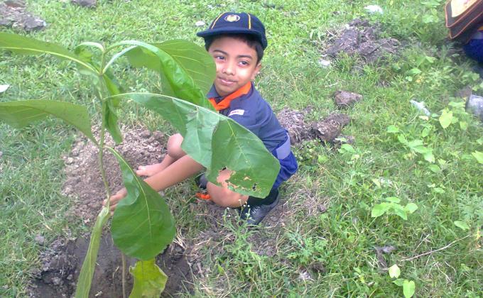 MASS TREE PLANTATION PROGRAMME BY KANCHRAPARA DISTRICT ASSOCIATION