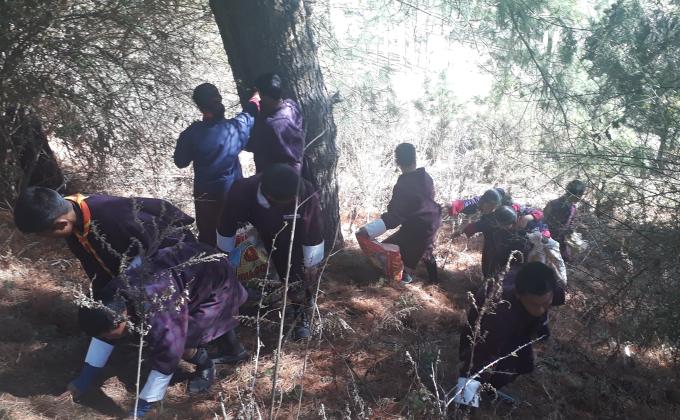 Beautiful environment our responsibility