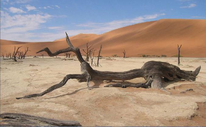 WE ARE GUARDIANS OF THE NATURE AND VOLUNTEERS FOR A BETTER WORLD TOMORROW