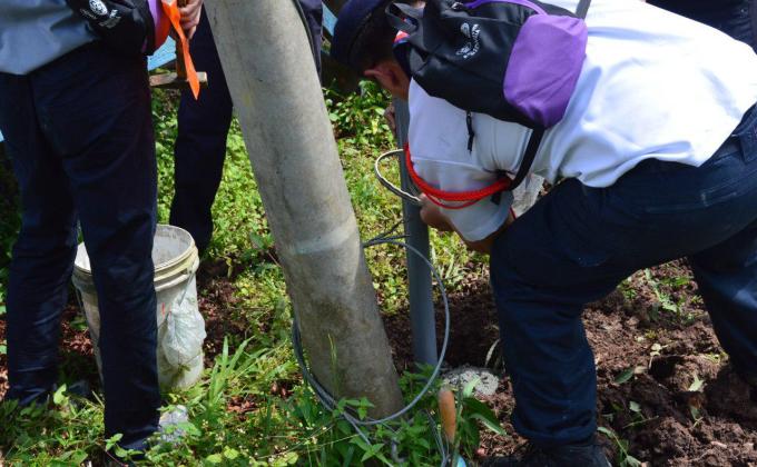 Lighting up the signs - Baden-Powell Award Assessment