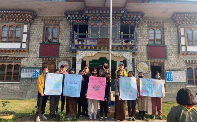 Plantation of Hazelnut saplings