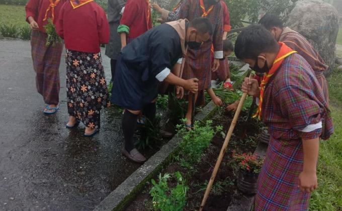 Reimagine, Recreate and Restore