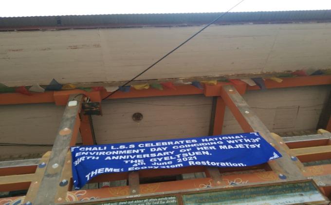 Mass Cleaning Campaign