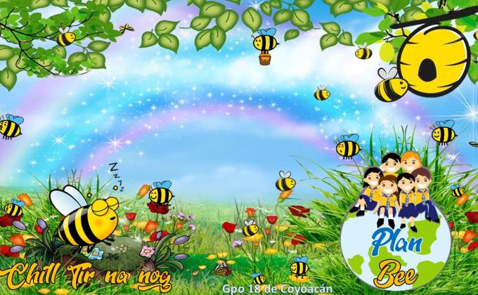 Plan Bee