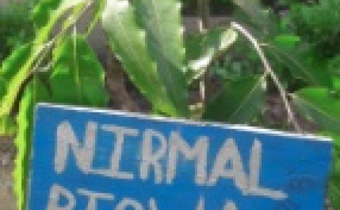 Taking care of Plants