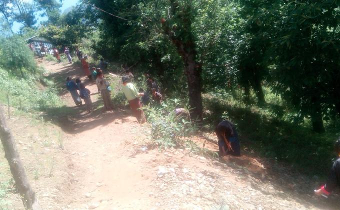 Tree plantation in the school campus