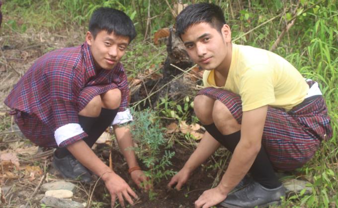Role of Youth in Preserving the Mother Earth