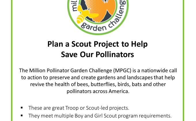 "Scout Pollinator Challenge": Monarch Waystations & Pollinator Gardens: NC Arboretum & Troop 91