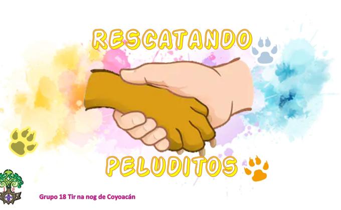 Rescatando Peluditos