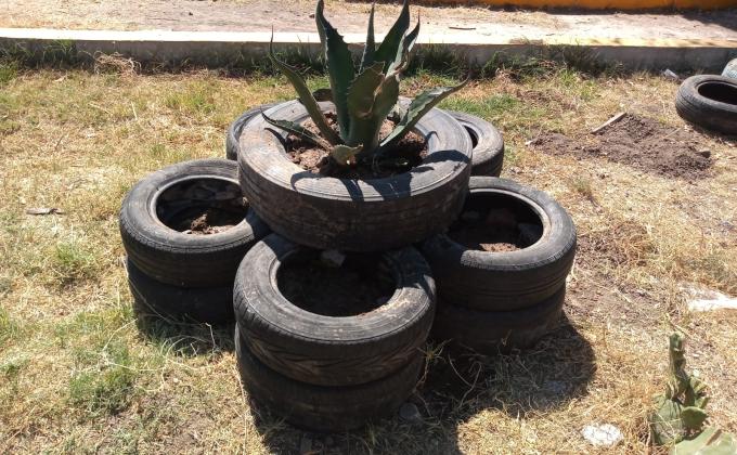 “Between Natural Brotherhood”