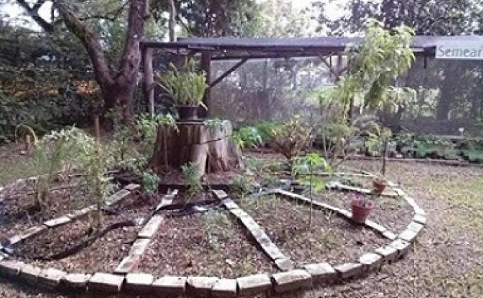 Programa Ambiental Semear