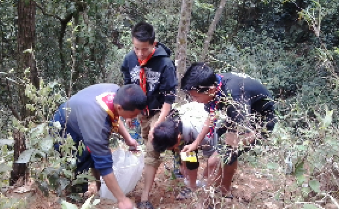Defence From Decimate Of Greenforest.