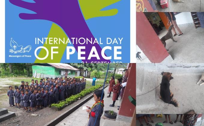 International Peace Day.