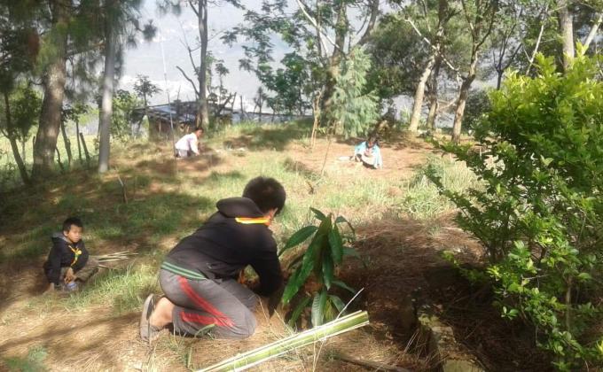  social forestry day. 